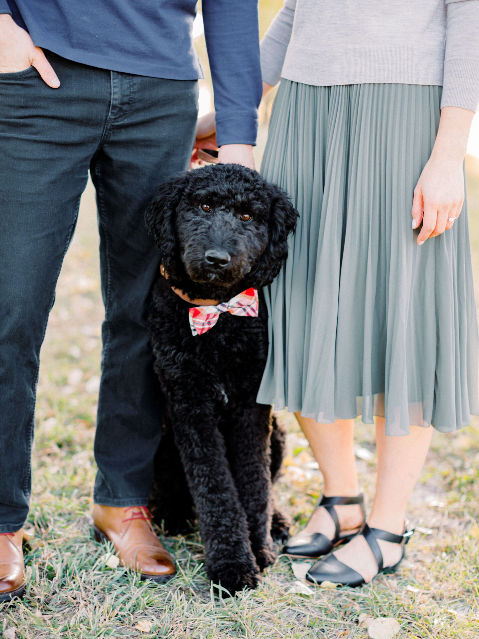 fall engagement session with dog - Montreal and Toronto wedding photographer