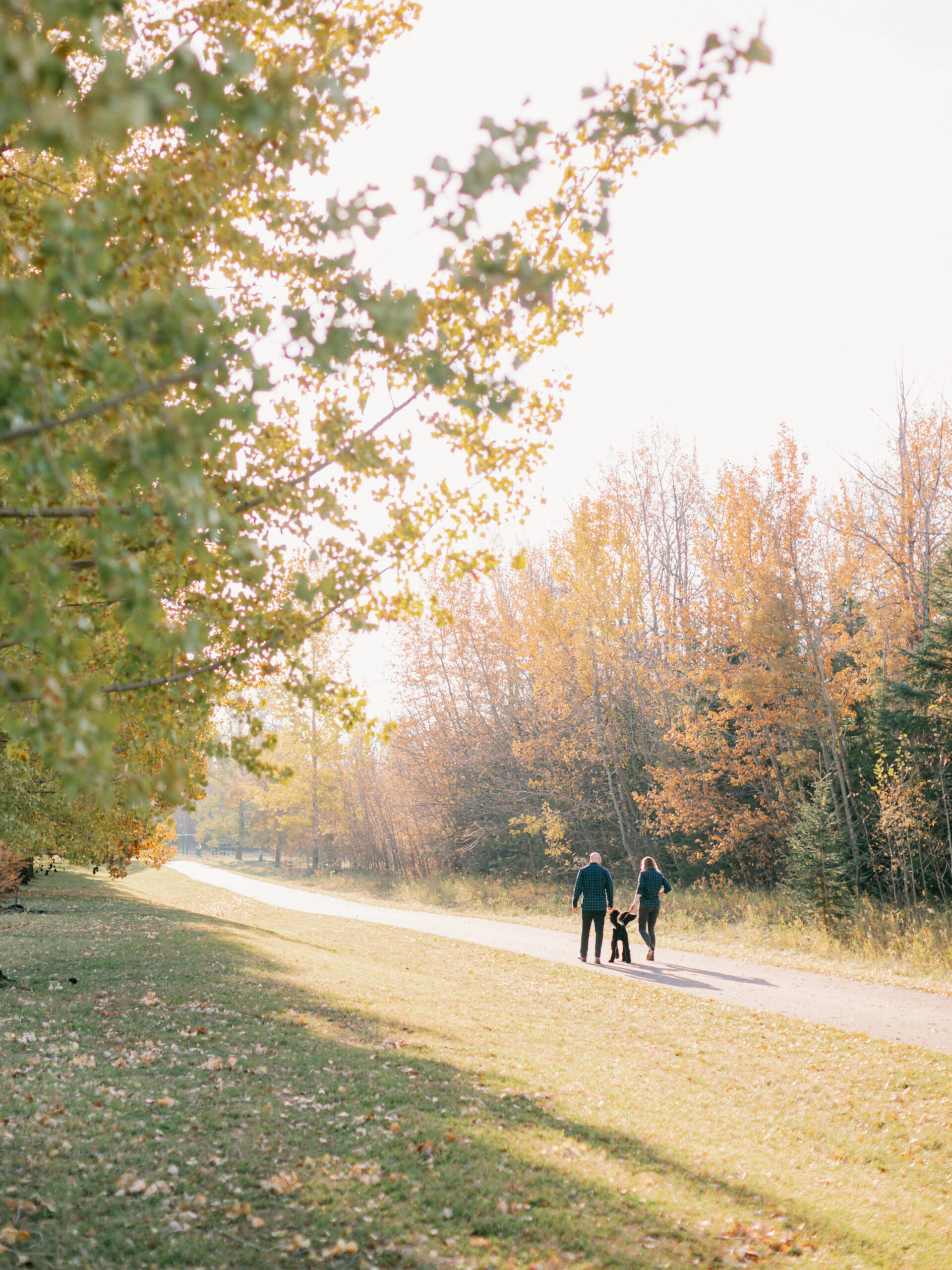 fall engagement session with dog - Montreal and Toronto wedding photographer