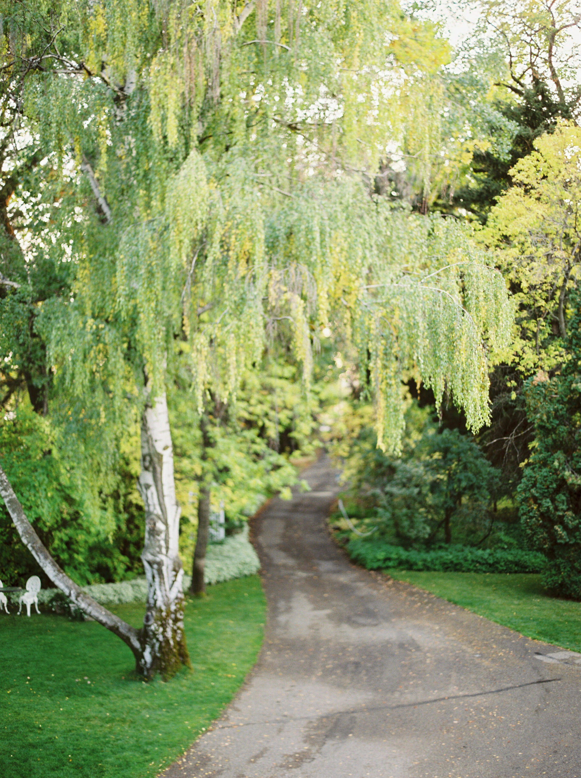 Montreal Photographer Weddings